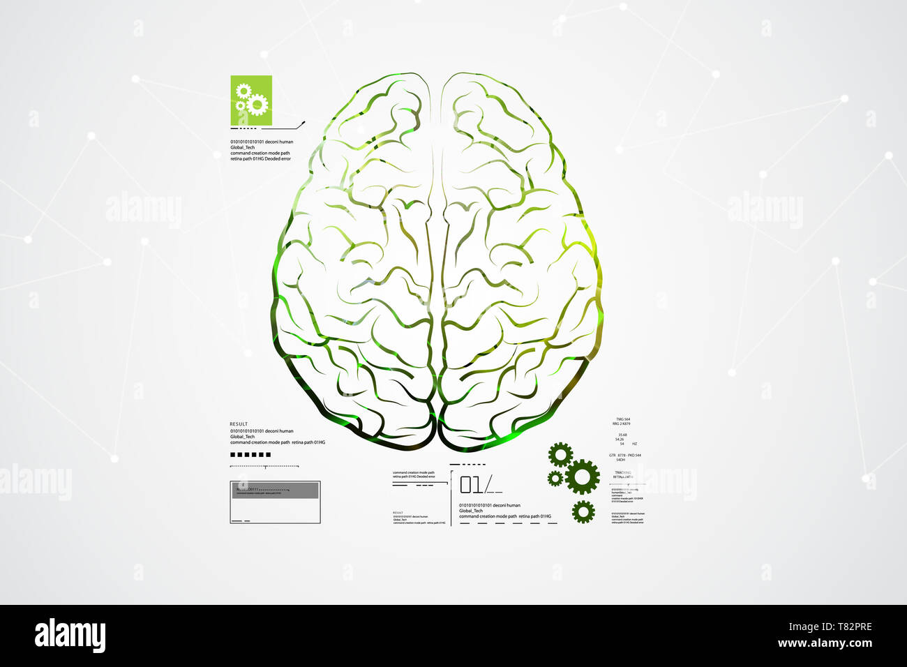 La structure du cerveau humain Banque D'Images