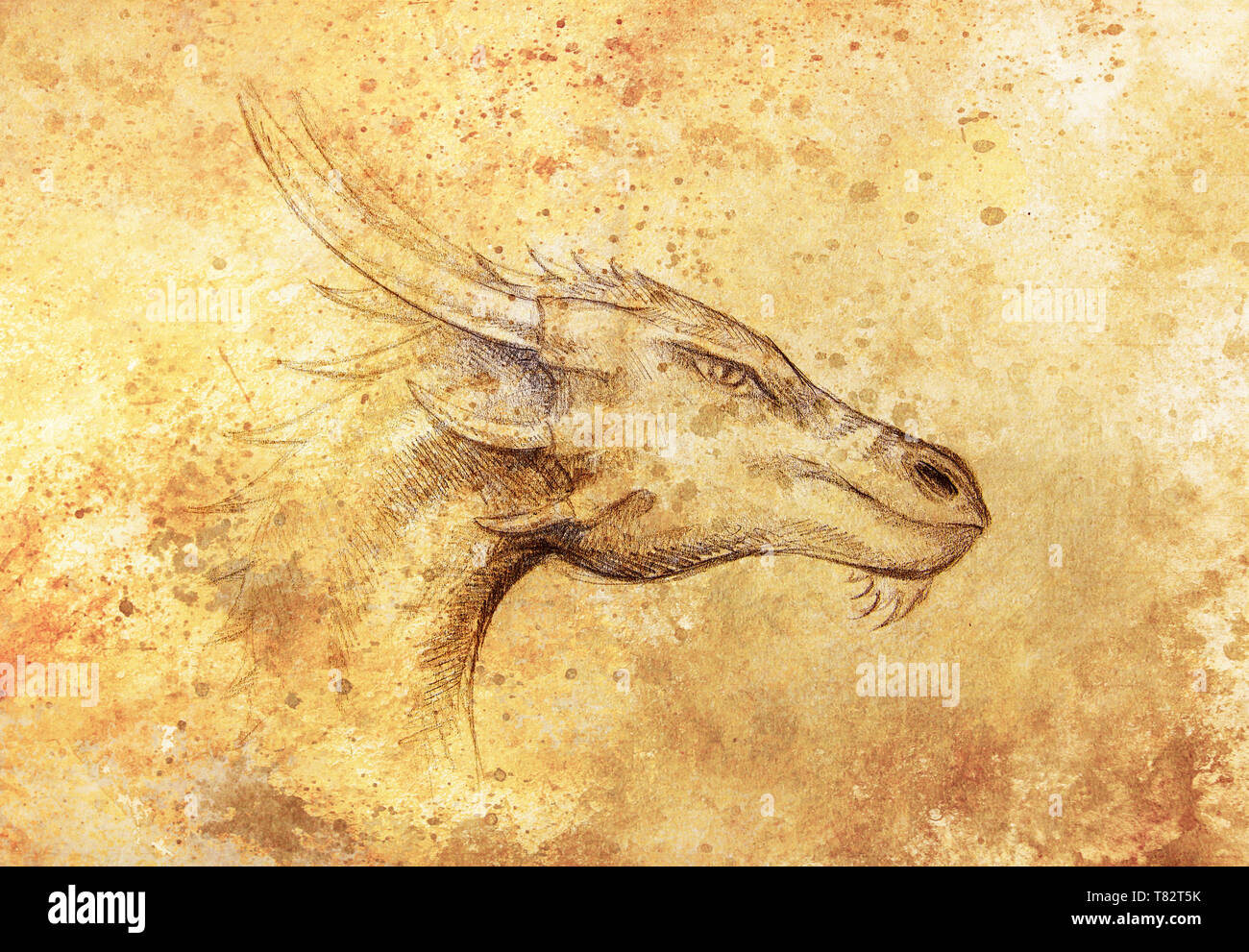 Dessin de tête de dragon sur le papier. Portrait de profil Banque D'Images
