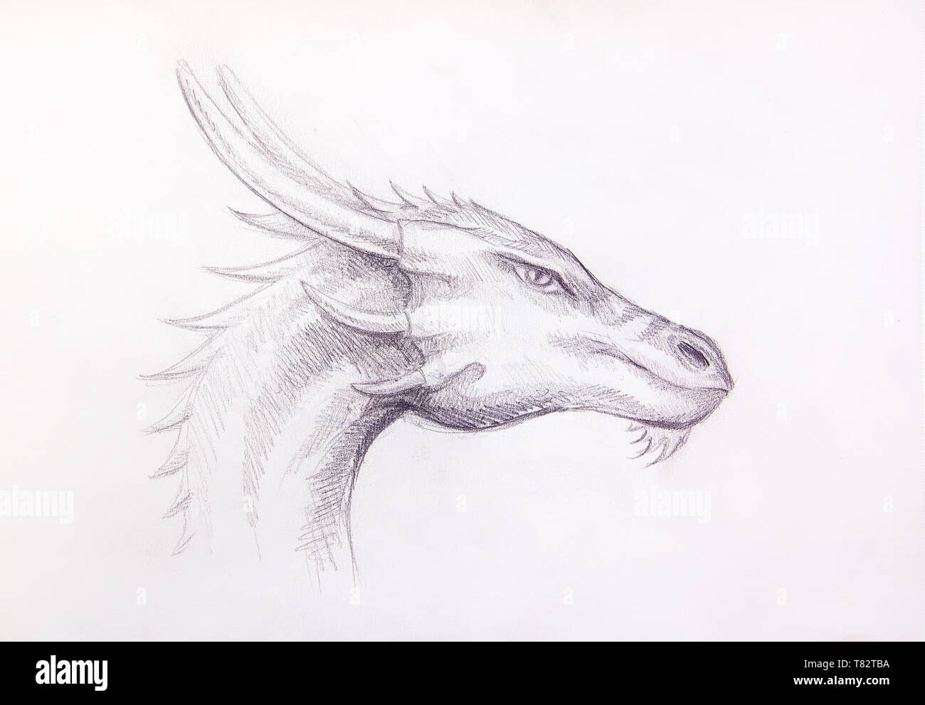 Dessin de tête de dragon sur le papier. Portrait de profil Photo Stock