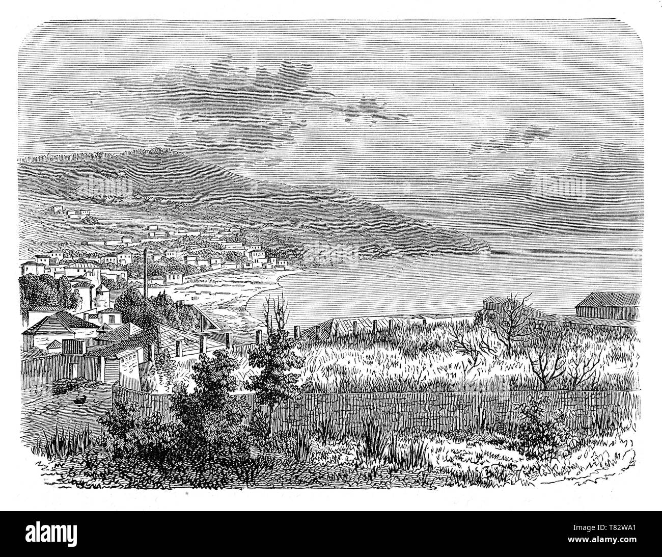 Vue panoramique de la ville portugaise de Funchal sur l'île de Madère sur l'Océan Atlantique Banque D'Images