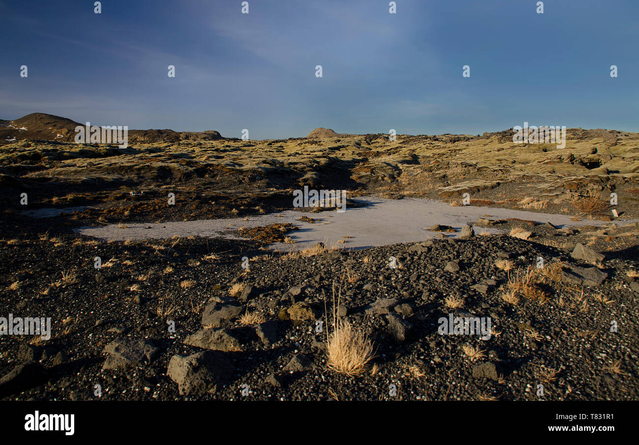 Grand vieux champs de lave recouverts de mousse d'Islande dans une couleur émeraude. L'Islande, de mousse et de musc dans paysage typique d'un jour nuageux Banque D'Images