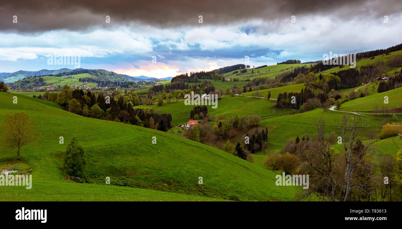 Vue de St.Peter dans le Schwarzwald Banque D'Images