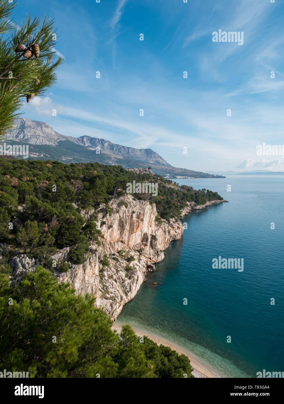 Pinède sur plage cachée et calme mer bleue en Croatie Banque D'Images