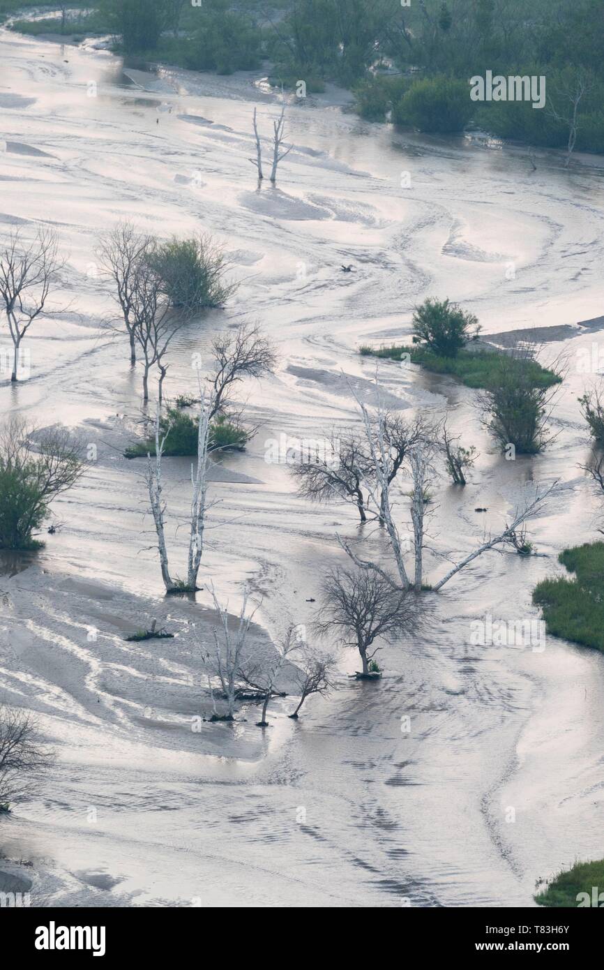 La Chine, la Mongolie intérieure, Province de Hebei, Zhangjiakou, Bashang Prairie, rivière avec des arbres morts Banque D'Images