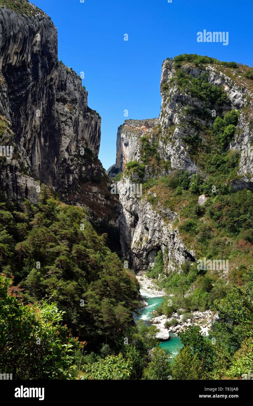 France, Alpes de Haute Provence, Parc Naturel Régional du Verdon, Rougon, Grand Canyon du Verdon dans le Couloir Samson et le début du sentier sentier Blanc Martel sur le GR4 Banque D'Images