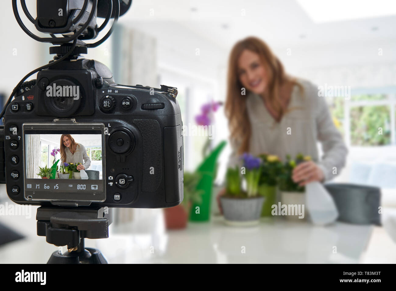 Faire Vlogger femelle Social Media Vidéo sur Internet pour les soins de plantes d'intérieur Banque D'Images