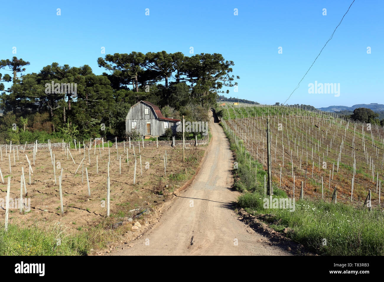 Région au sud du Brésil, maison ancienne et battus road. Traditions avec les influences italiennes. Banque D'Images
