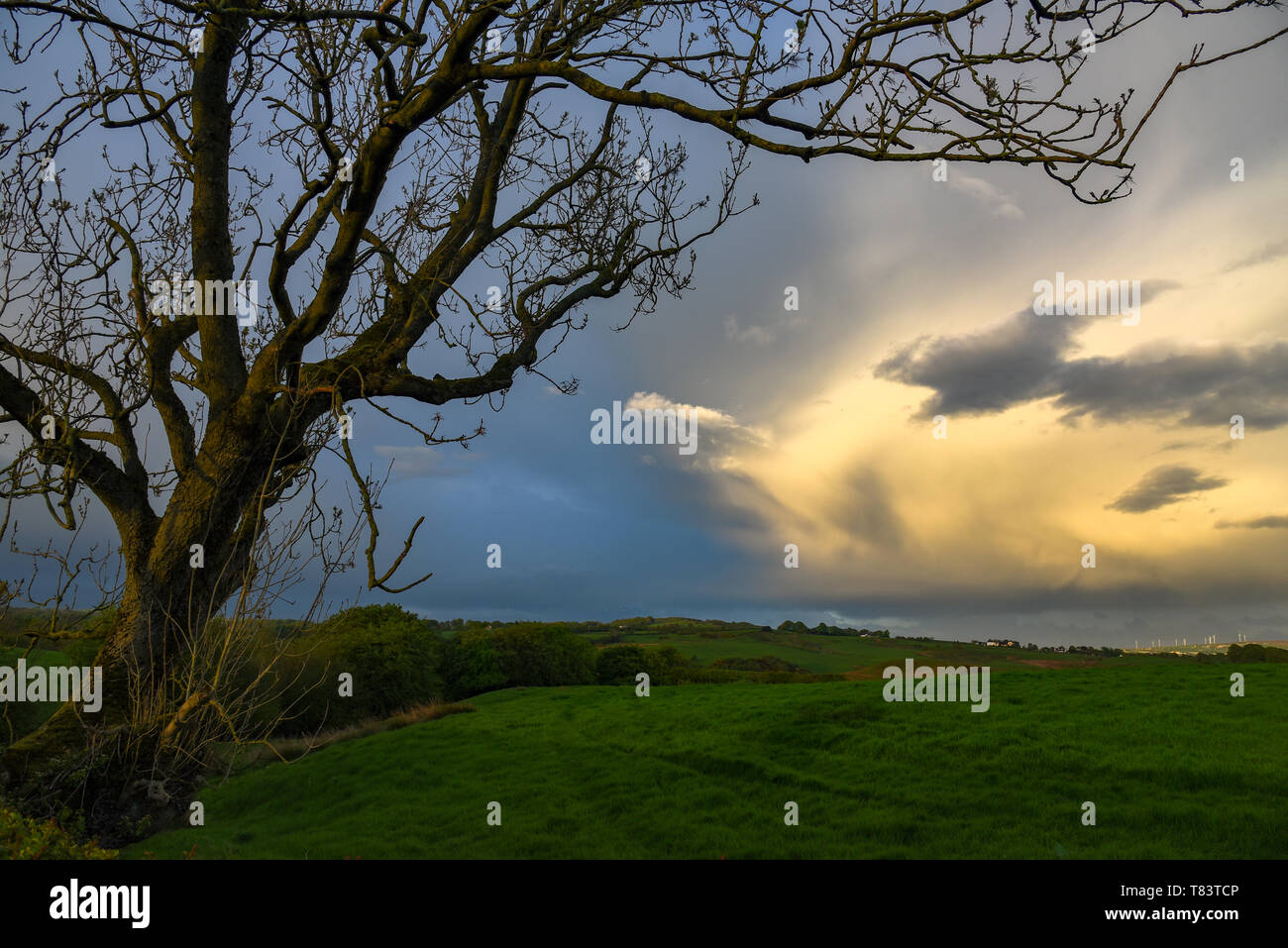 Curieux de nuages dans un ciel sombre Banque D'Images
