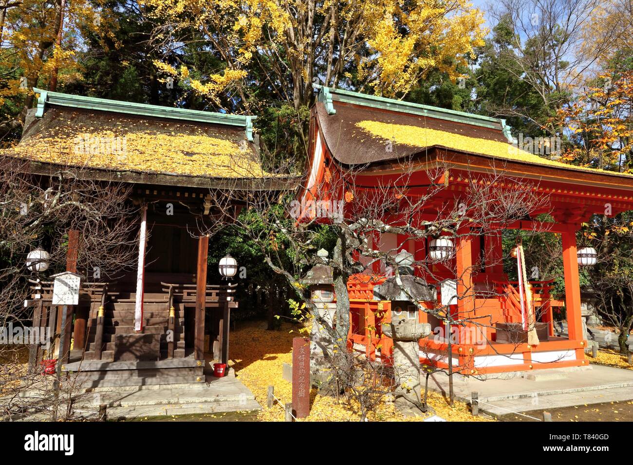 KYOTO, JAPON - 25 NOVEMBRE 2016 : Sanctuaire Kitano Tenmangu vue d'automne à Kyoto, au Japon. 19,7 millions de touristes étrangers ont visité le Japon en 2015. Banque D'Images