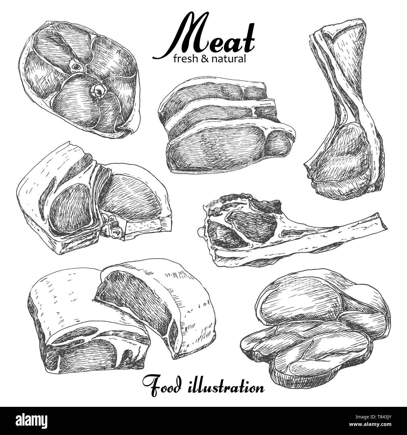 Ensemble de la viande à la main isolé sur fond blanc. Pour votre conception d'illustration vectorielle Illustration de Vecteur