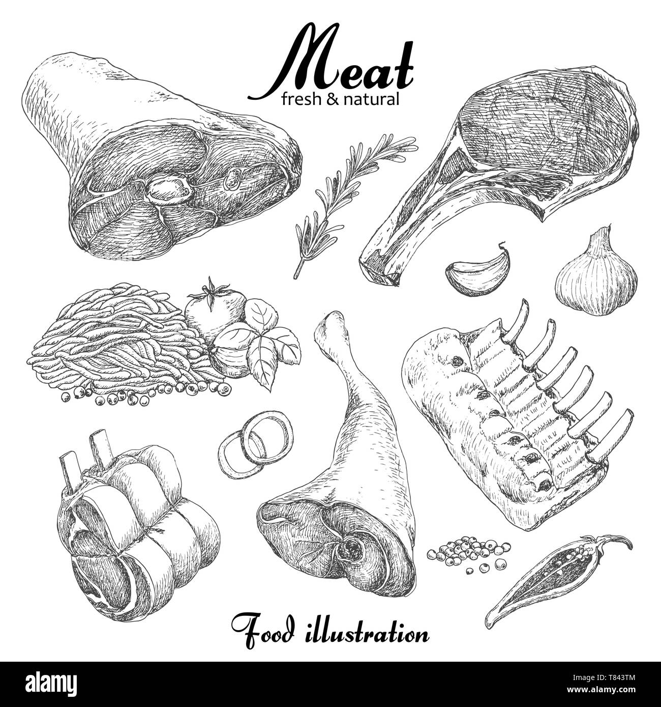 Ensemble de la viande à la main isolé sur fond blanc. Pour votre conception d'illustration vectorielle Illustration de Vecteur