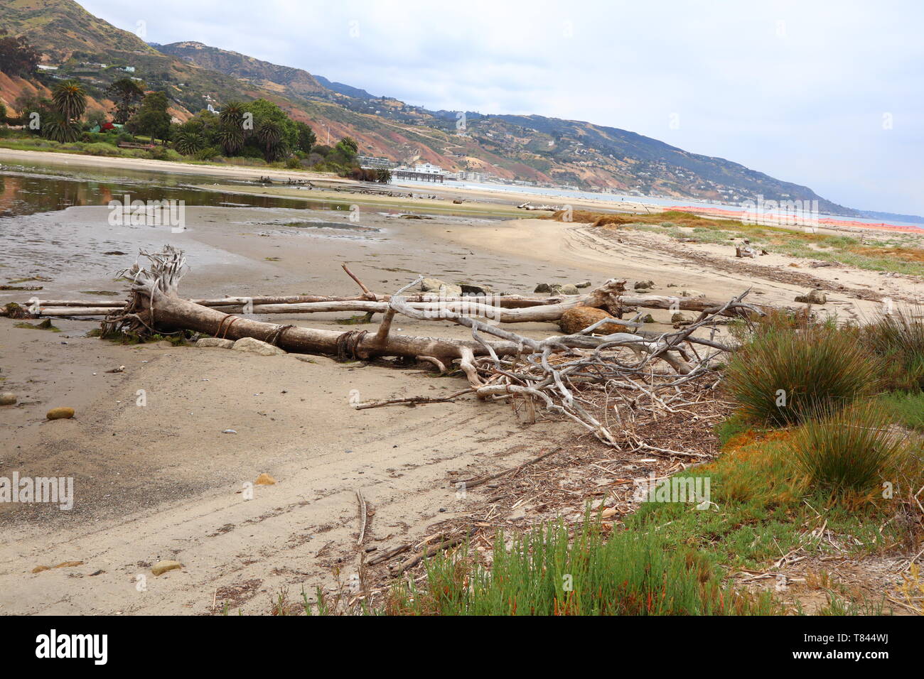 Voir l'état du Lagon Malibu Beach, Californie Banque D'Images
