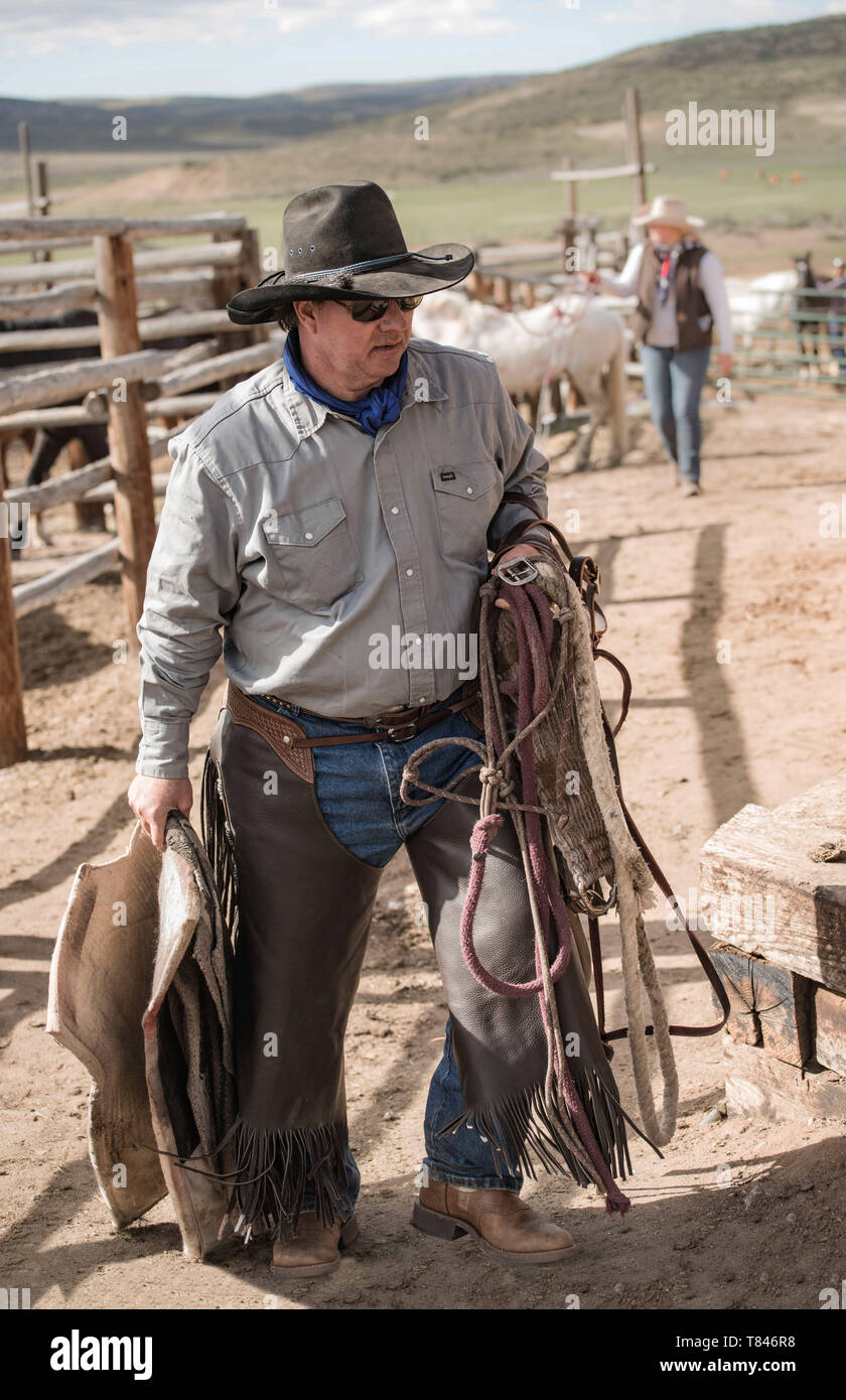 1 mai 2016 Craig, CO : wrangler de cow-boy portant son hickamore, couverture de cheval, corde de plomb et selle à la pièce de virement de bord Banque D'Images