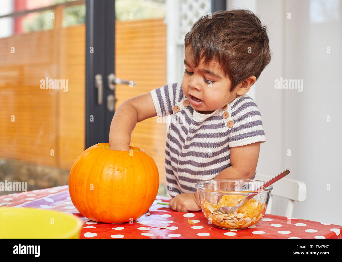 L'éviscération garçon citrouille en cuisine Banque D'Images