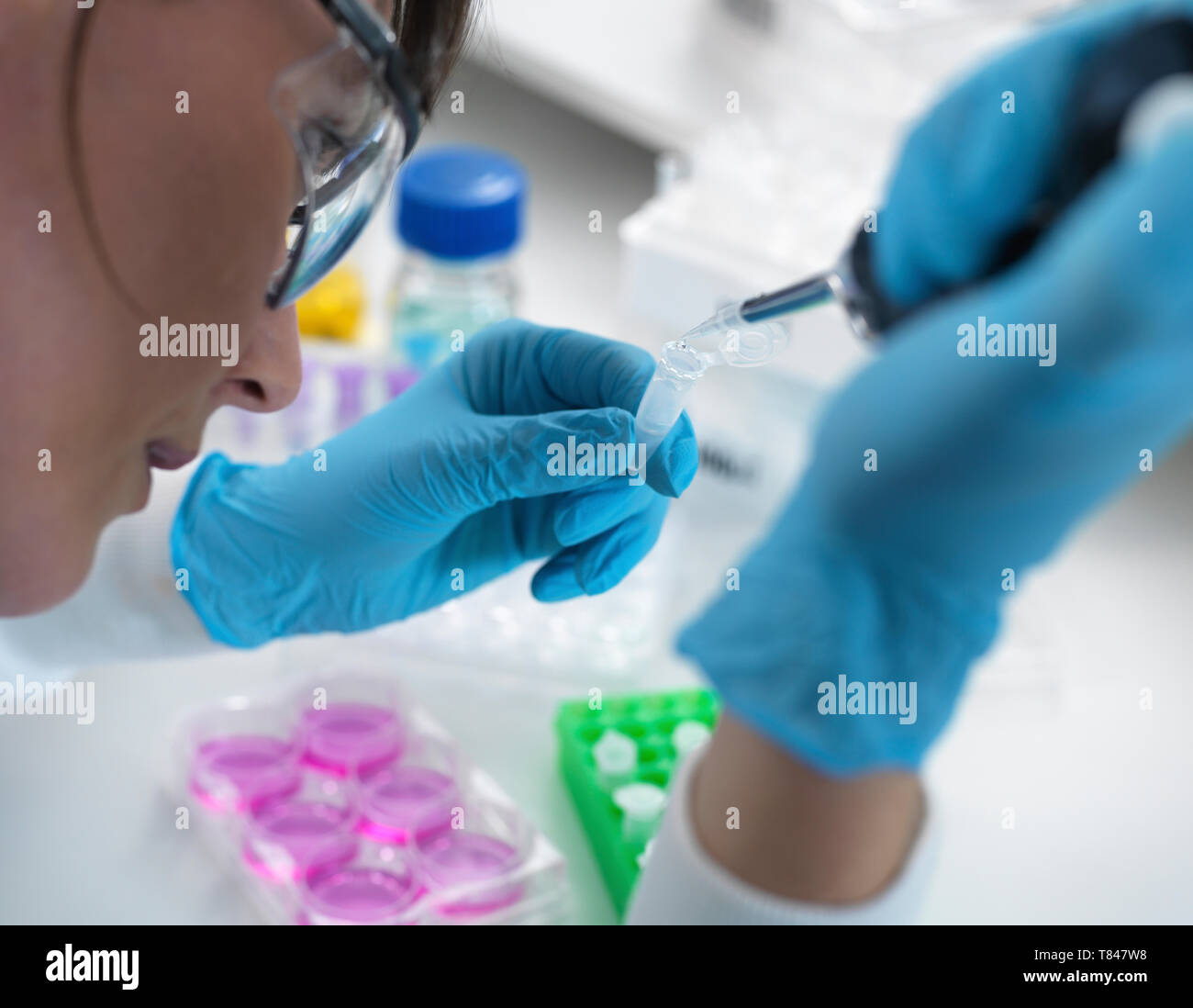 La recherche en biotechnologie, pipetage scientifique d'échantillon dans un flacon pour analyse en laboratoire, sur épaule Banque D'Images