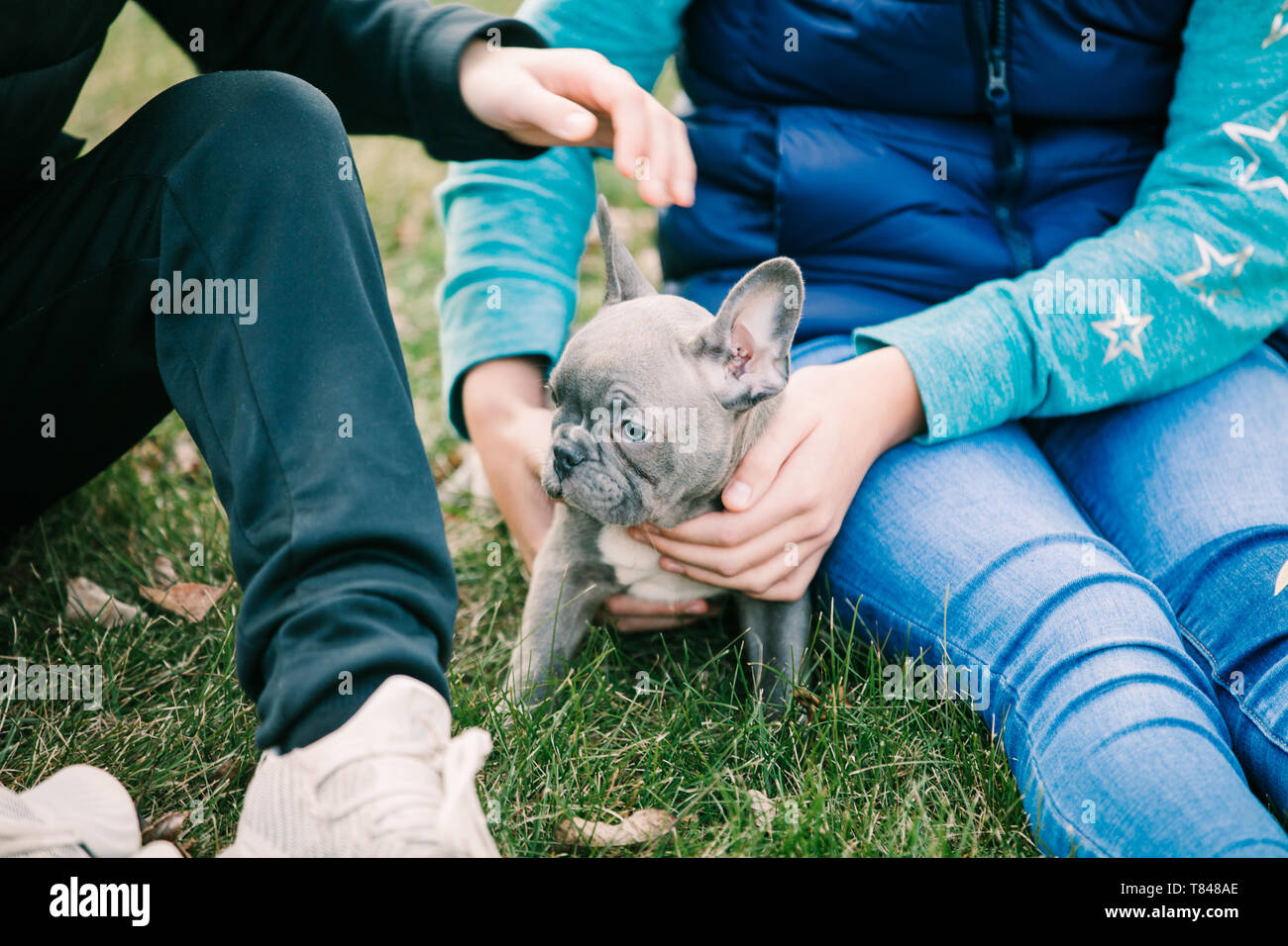 Enfants jouant avec puppy on grass Banque D'Images