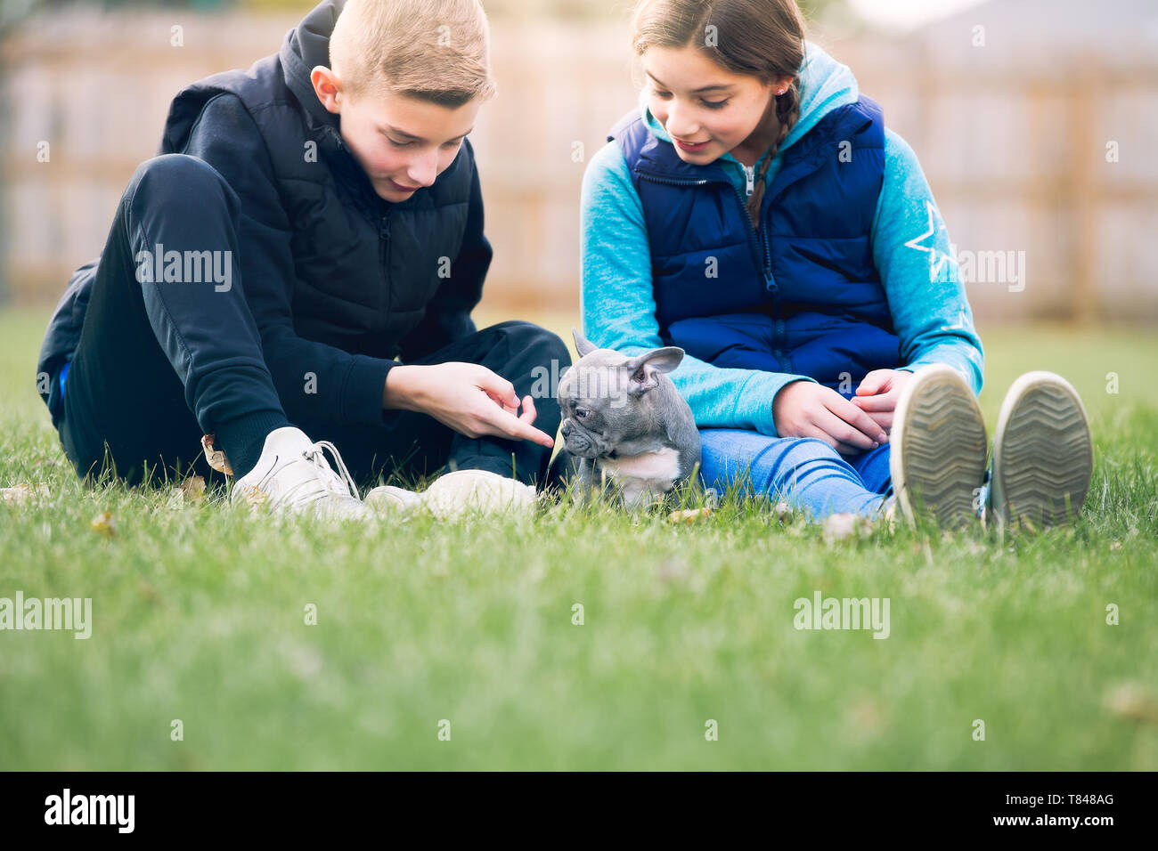 Enfants jouant avec puppy on grass Banque D'Images