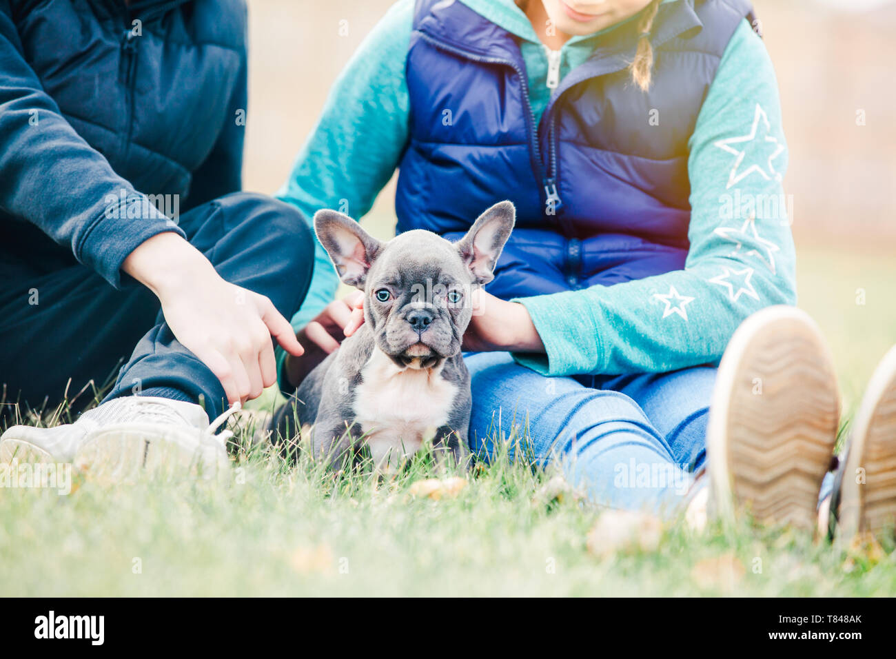 Enfants jouant avec puppy on grass Banque D'Images