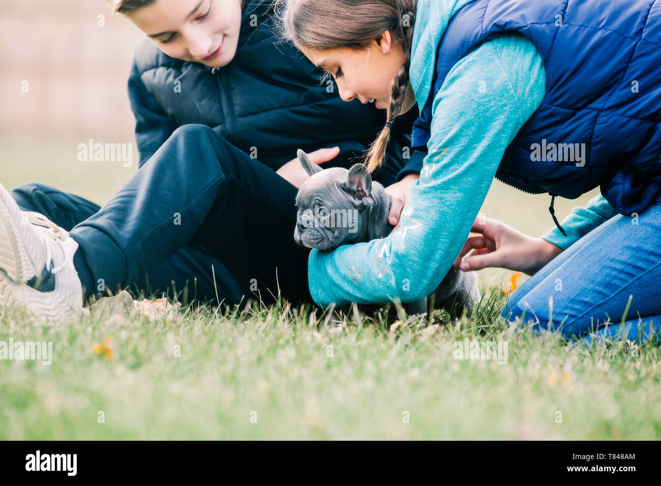Enfants jouant avec puppy on grass Banque D'Images