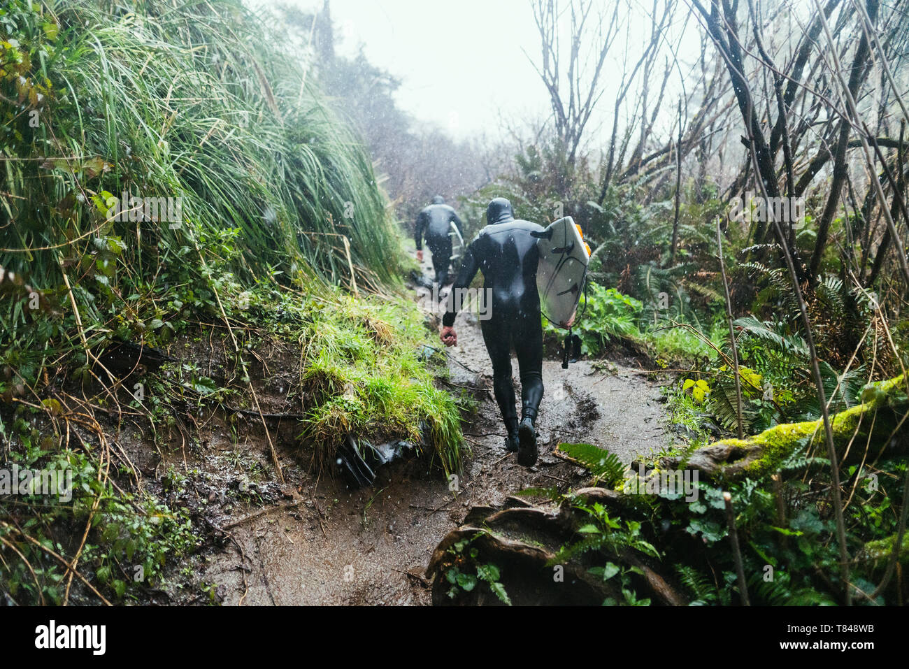 Les jeunes internautes en combis walking up piste côtière dans la pluie, Arcata, California, United States Banque D'Images