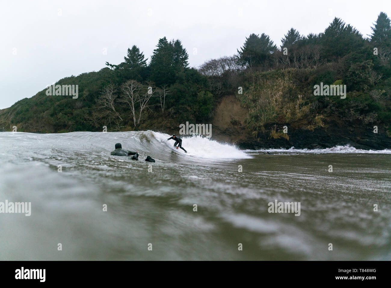 Les jeunes surfeurs surf dans le froid de l'océan pacifique, au niveau de la surface vue, Arcata, California, United States Banque D'Images
