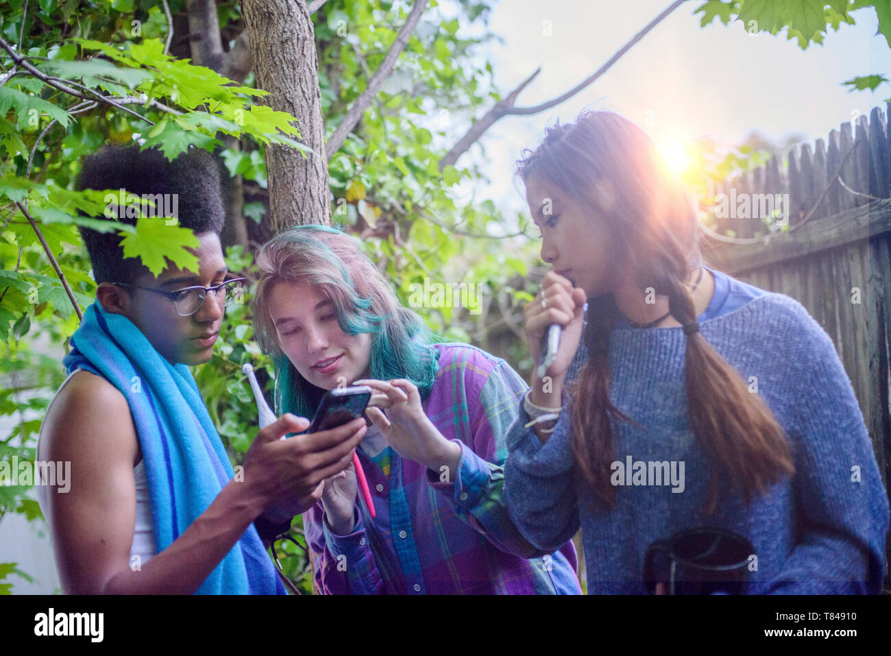 Trois adolescents mâles et femelles en jardin looking at smartphone Banque D'Images