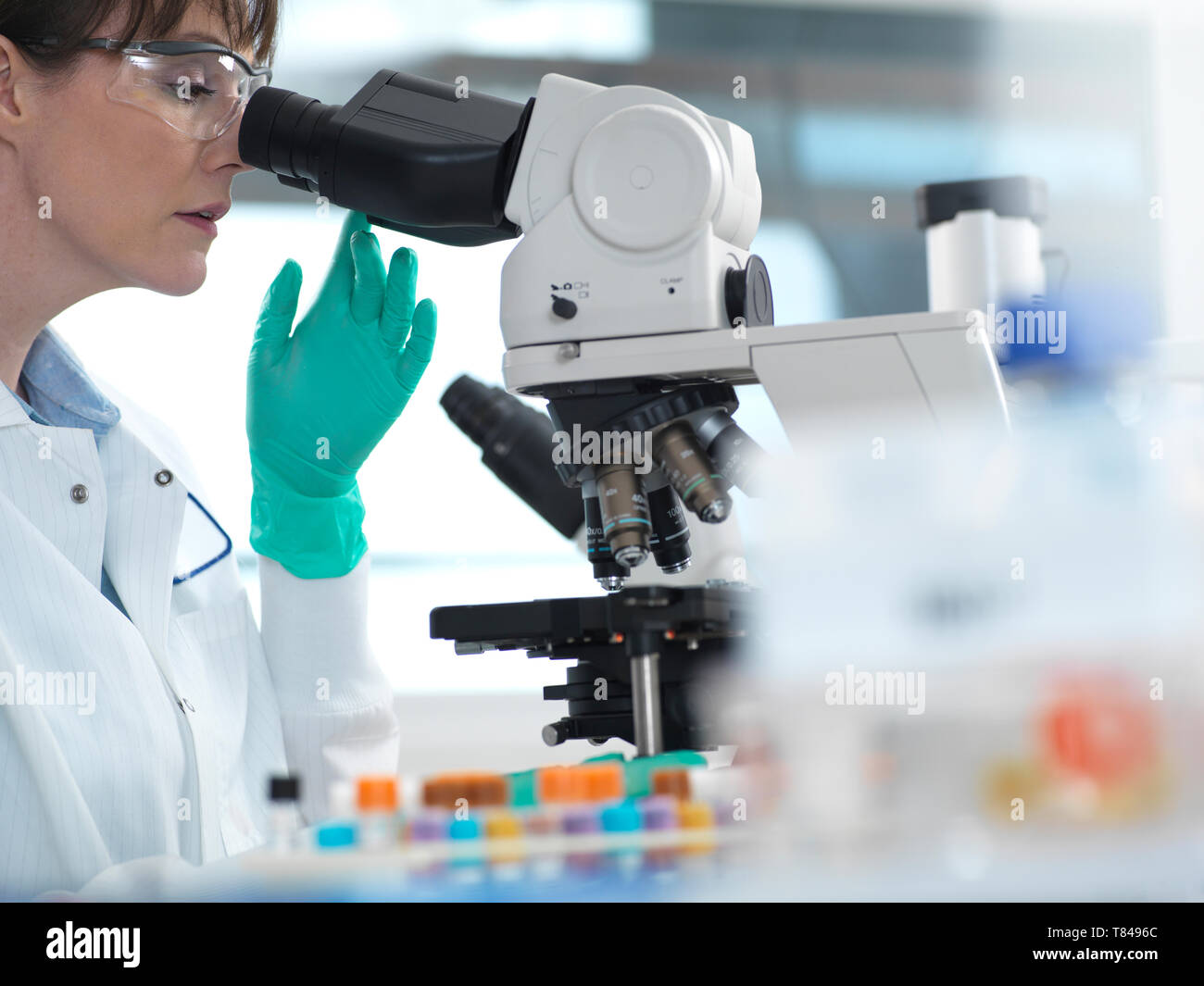 Les tests médicaux de divers échantillons humains dont le sang et les tissus sous microscope in laboratory Banque D'Images