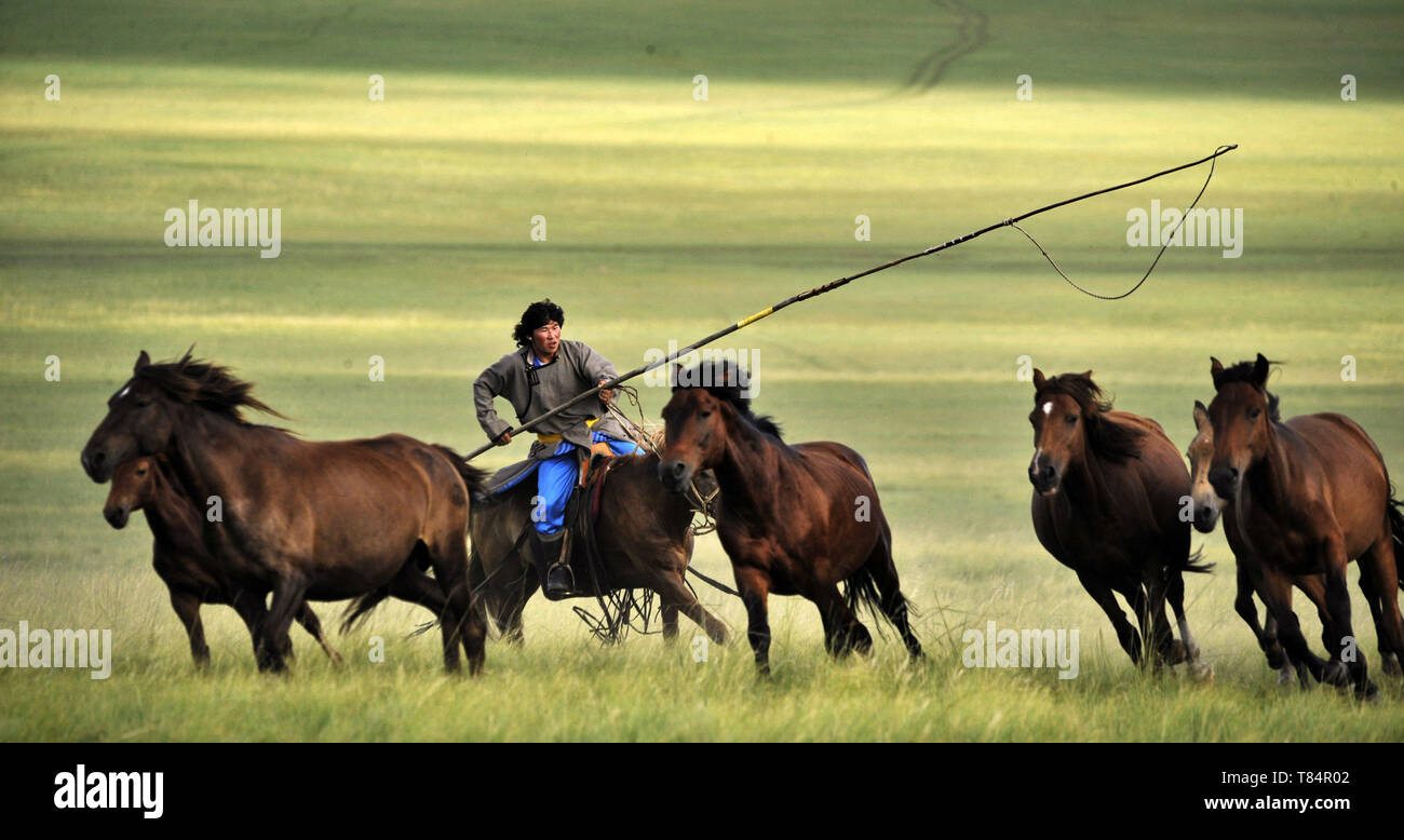 Beijing, Chine. 27 août, 2010. Un berger des lassos chevaux à Chen Qi Barag sur le Hulun Buir Prairies dans le nord de la Chine, région autonome de Mongolie intérieure, le 27 août, 2010. La Chine tiendra la conférence sur le Dialogue des Civilisations Asiatiques à partir de mai 15. Sous le thème de "l'échange et l'apprentissage mutuel entre les civilisations asiatiques et une communauté de l'avenir,' la conférence inclut une cérémonie d'ouverture et sous-forums. Crédit : Li Xin/Xinhua/Alamy Live News Banque D'Images