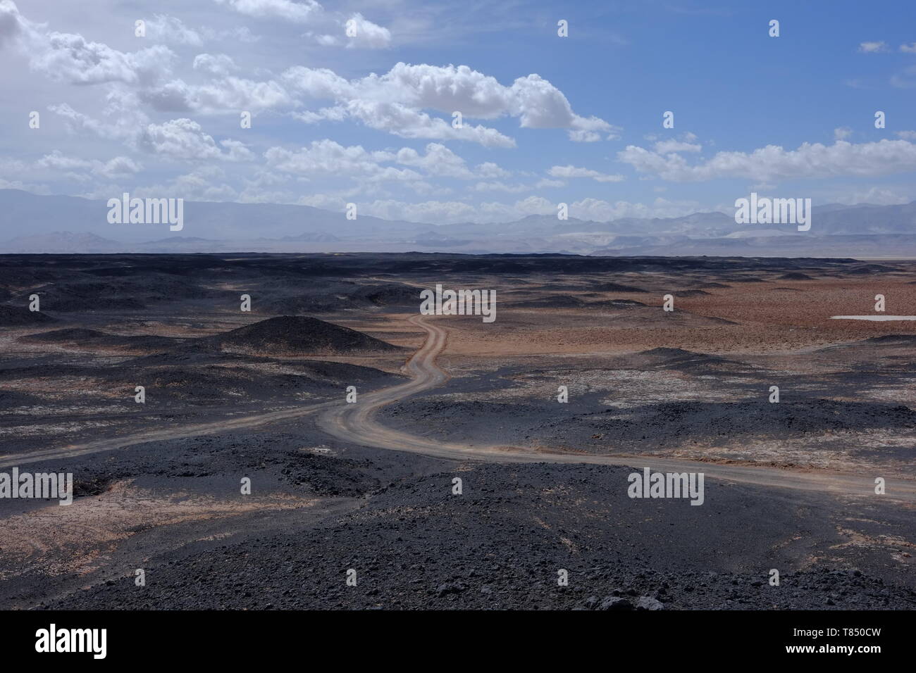 Chemin de terre à travers le paysage volcanique de la Cordillère des Andes de l'Argentine Banque D'Images