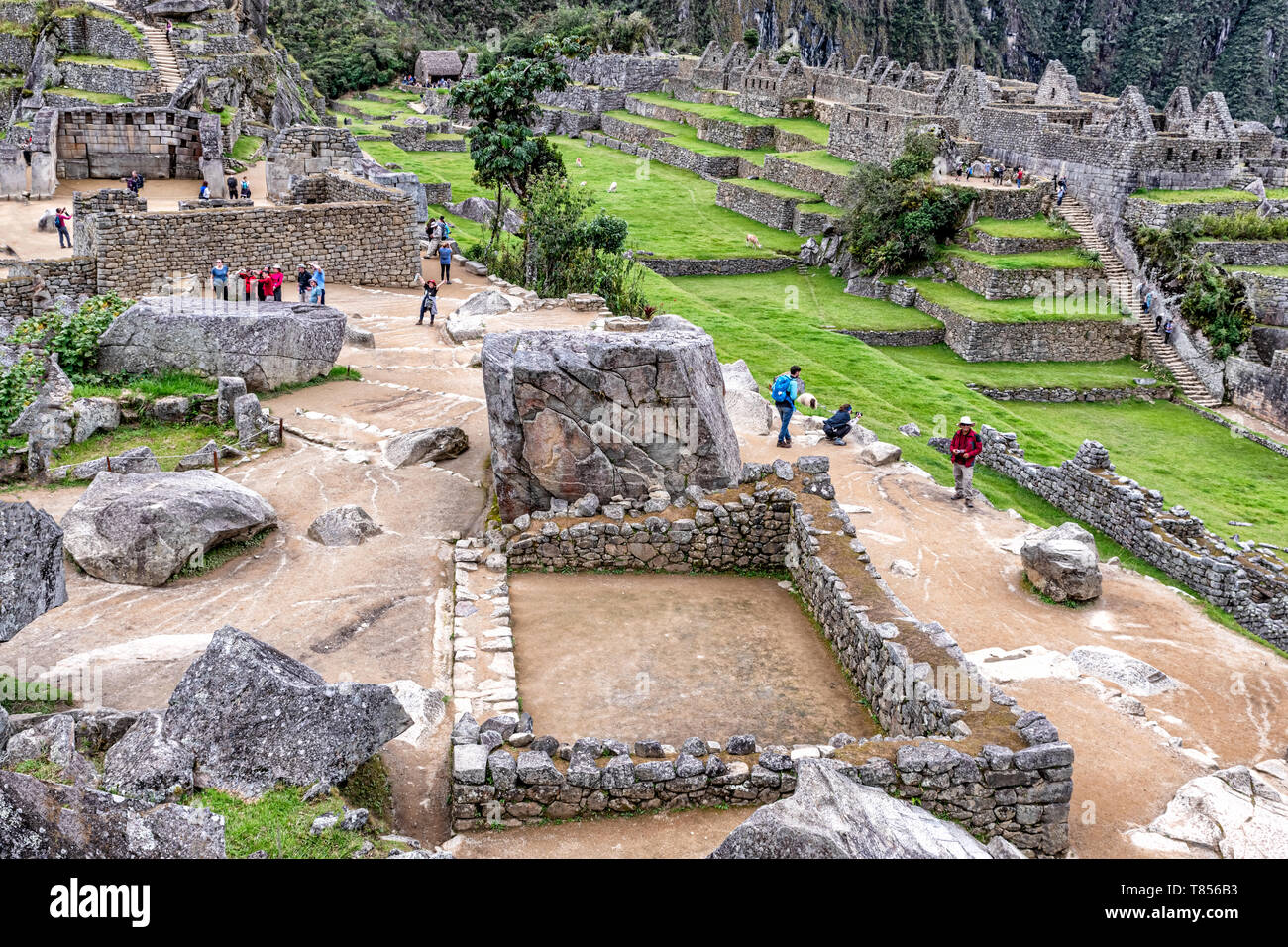 Le Machu Picchu, au Pérou, le 7 avril - 2019 : Sacré à Plaza et autour des maisons et dans l'ancienne ville de Machu Picchu près de Cusco au Pérou complexes Banque D'Images