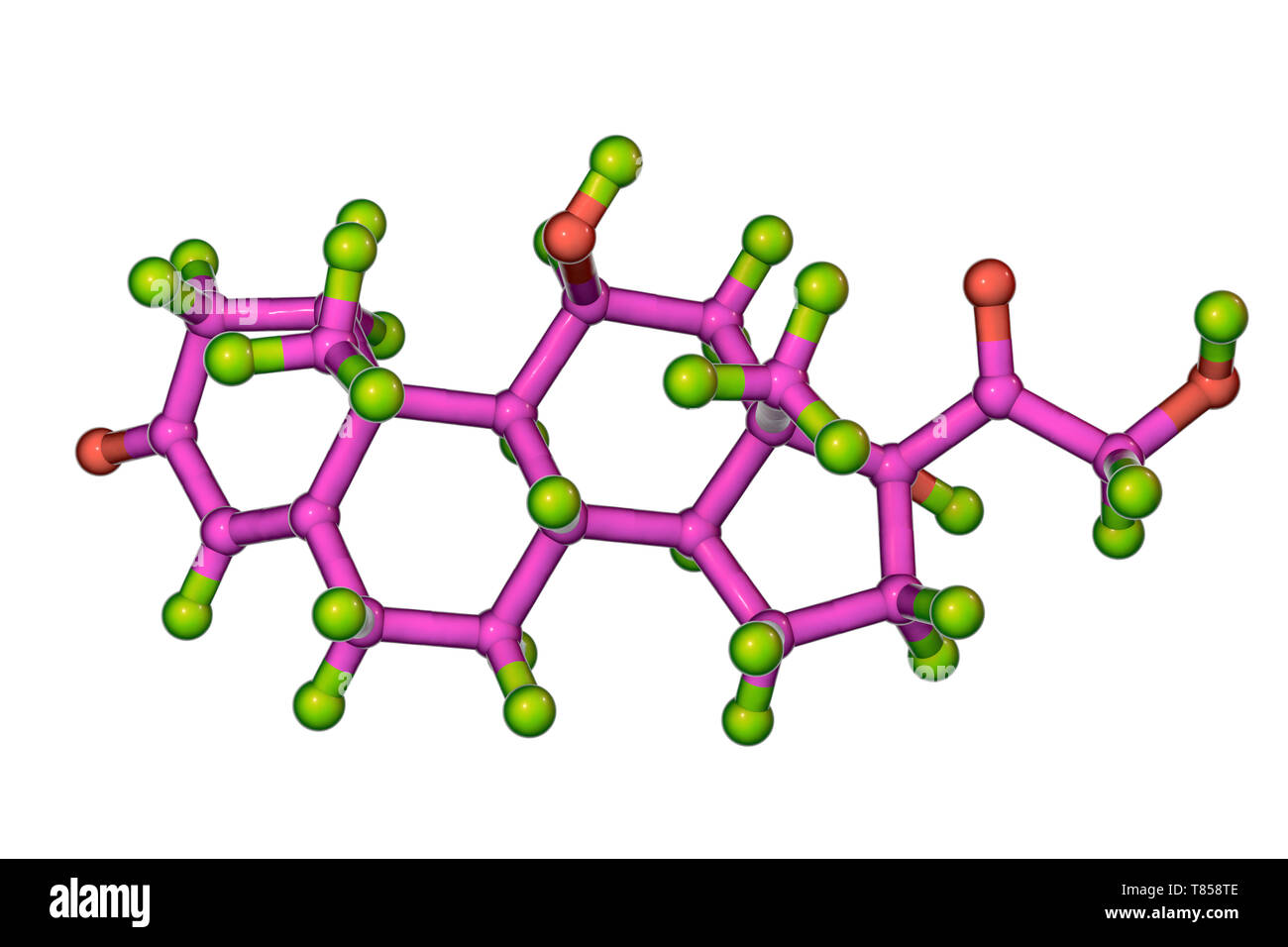 Le Cortisol, modèle moléculaire Banque D'Images