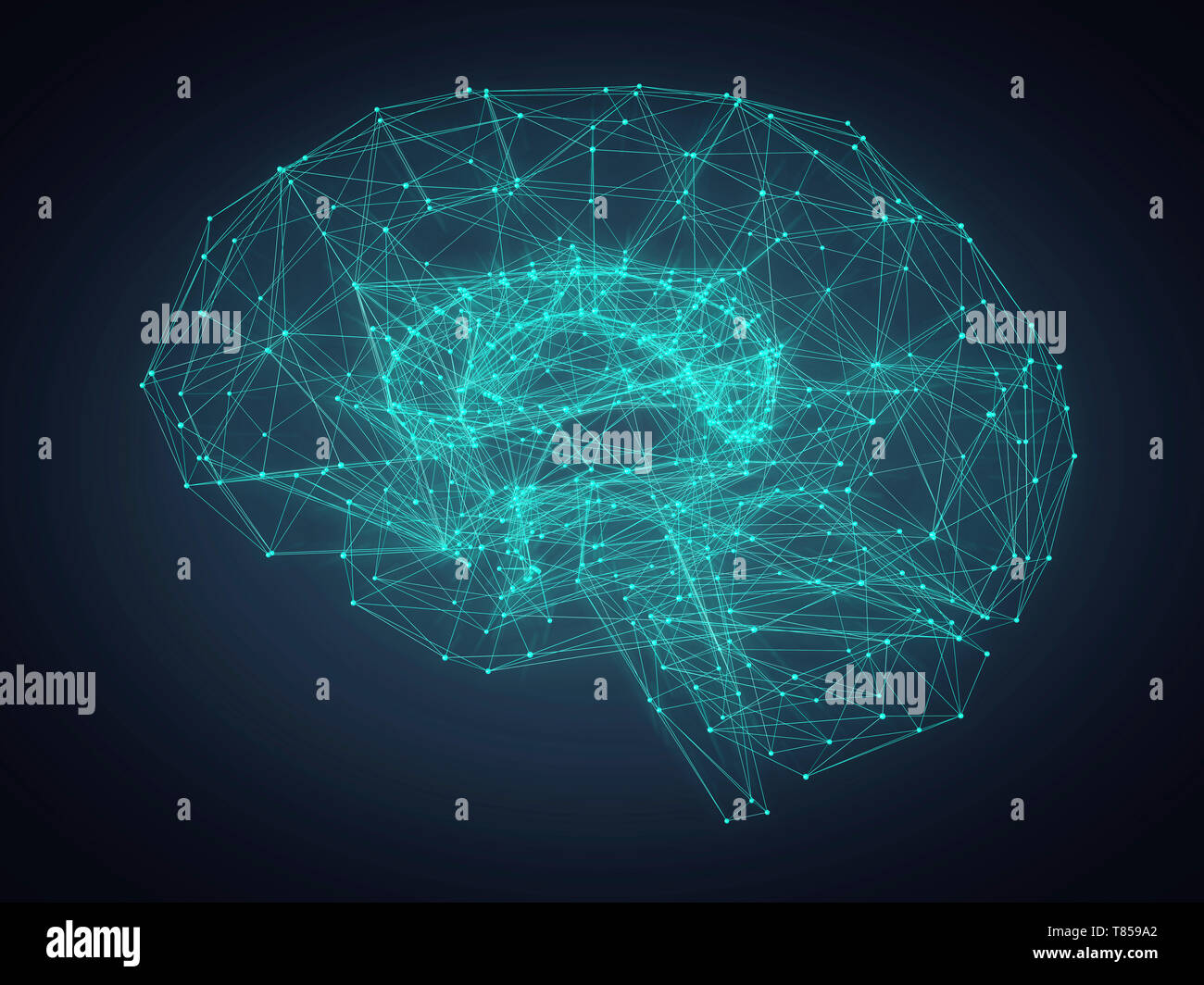 Anatomie du cerveau Banque de photographies et d’images à haute