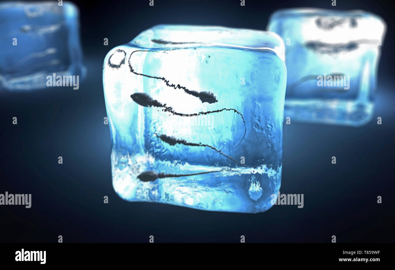 Le sperme congelé, illustration conceptuelle Photo Stock - Alamy