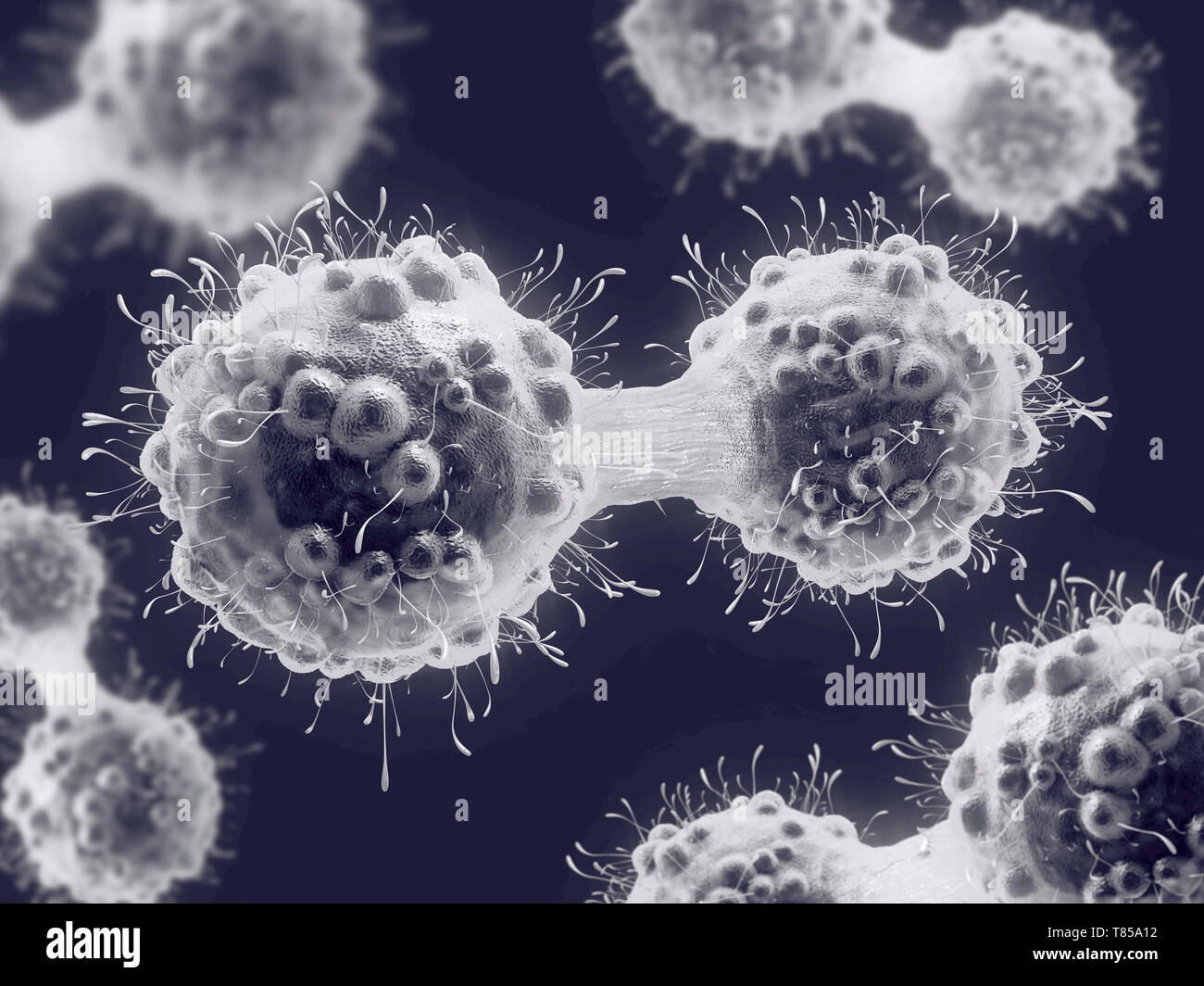 La division des cellules cancéreuses, illustration Banque D'Images