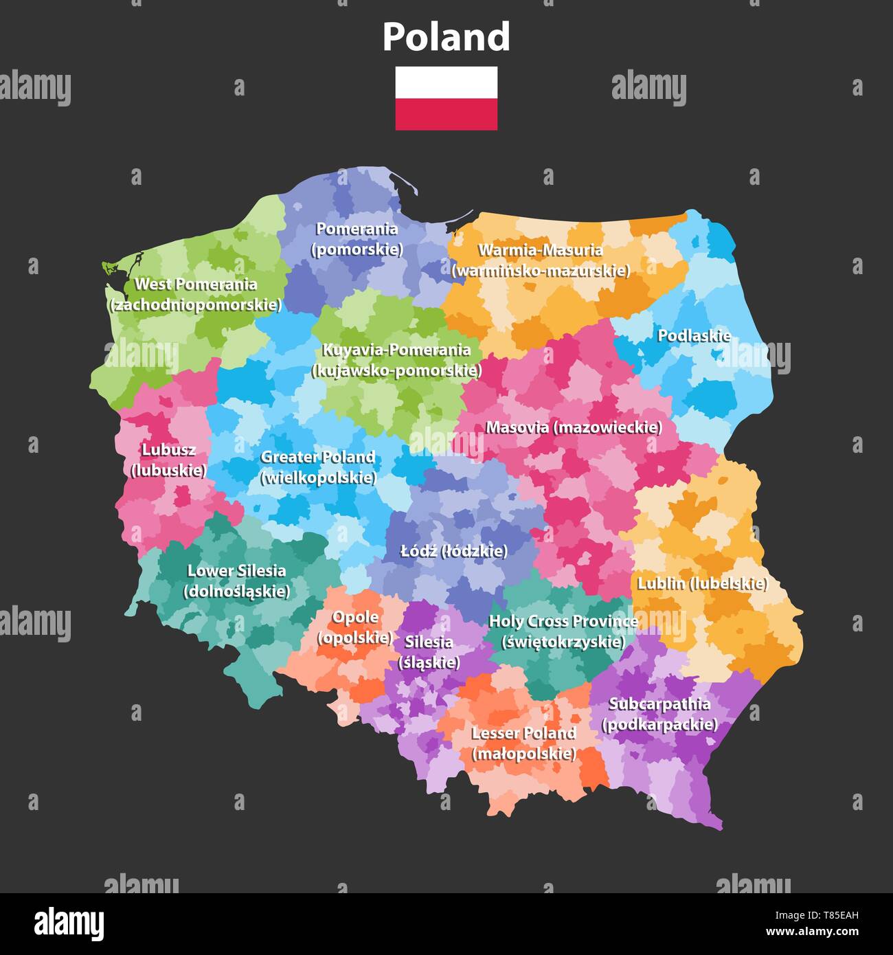 Carte vectorielle de la Pologne provinces(connu sous le nom de voïvodies) avec les divisions administratives Illustration de Vecteur