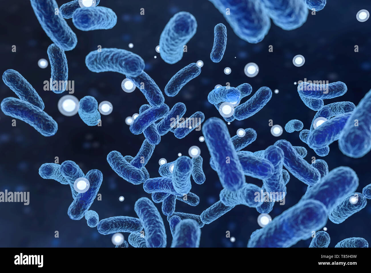 Rendu 3D, virus infectieux avec détails de surface sur fond bleu. L'image numérique de l'ordinateur. Banque D'Images