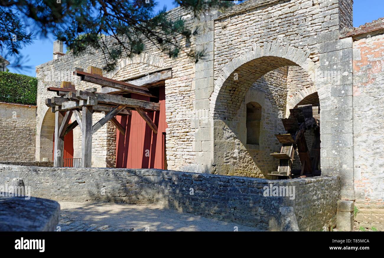 France, Côte d'Or, les Forges de Buffon, roue à aube Banque D'Images