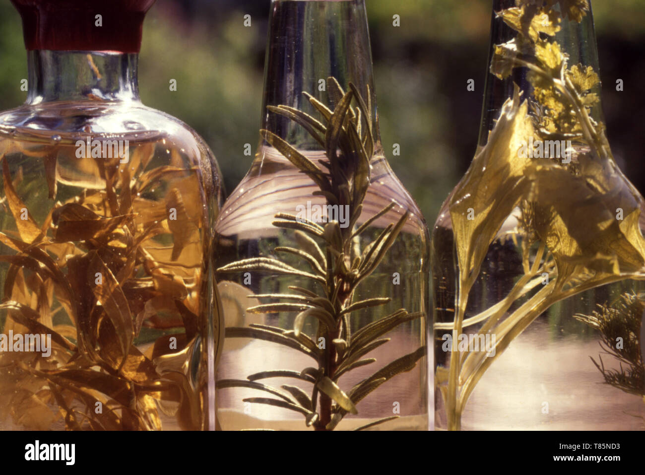 Bouteilles DE VINAIGRES À BASE DE BRINS D'HERBES à l'intérieur pour la décoration. Banque D'Images