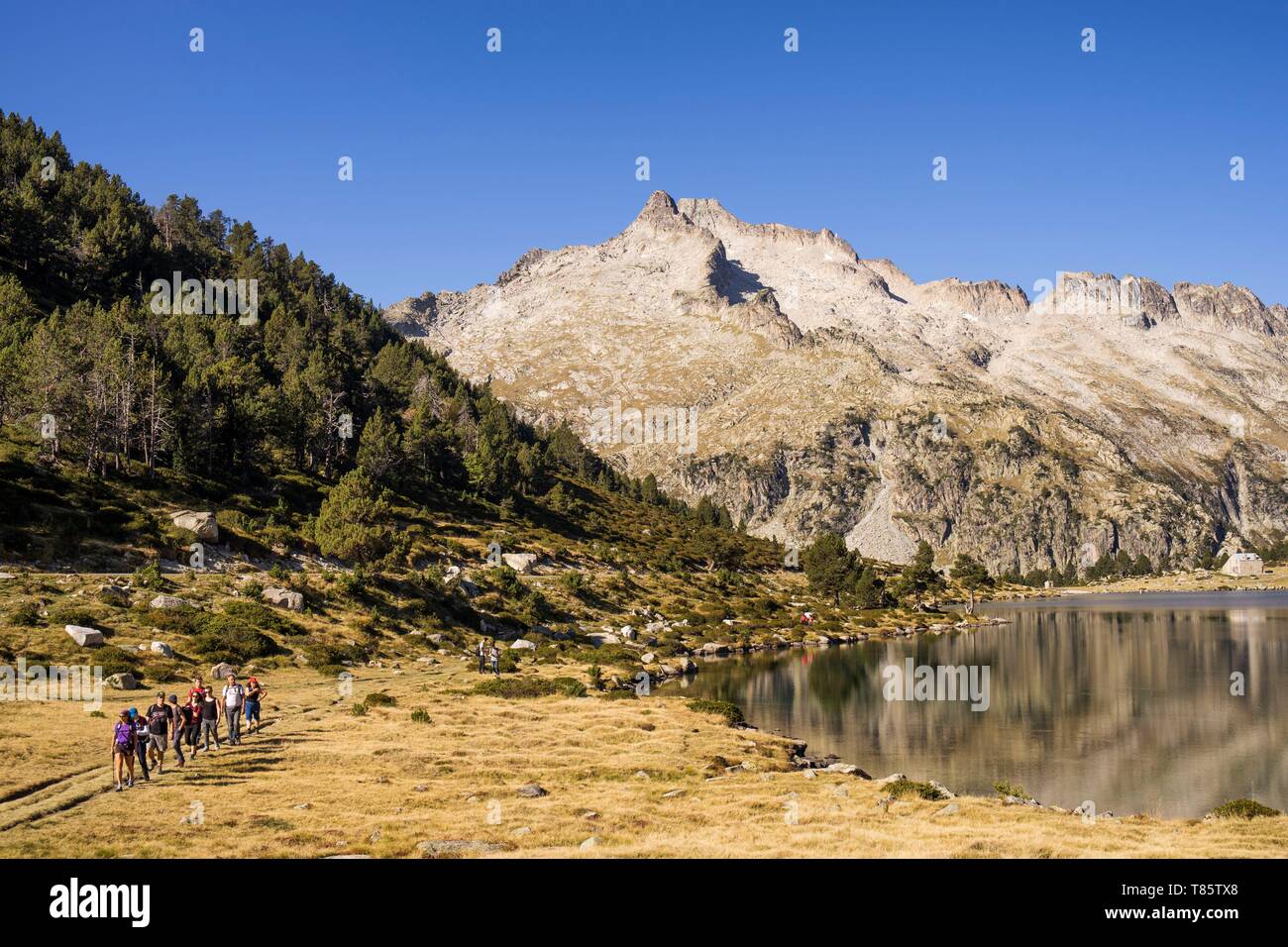 France Hautes Pyrenees La R serve Naturelle Du N ouvielle Massif Du 