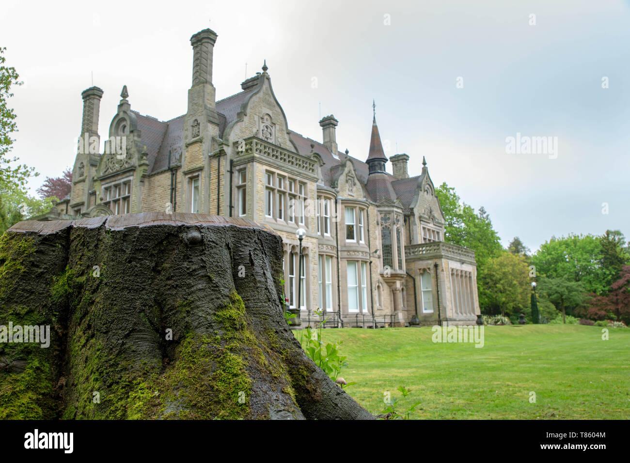 Denzell chambre vue derrière une souche d'arbre dans le jardins ornementaux, Dunham Rd, Bowdon, Trafford, Greater Manchester Banque D'Images