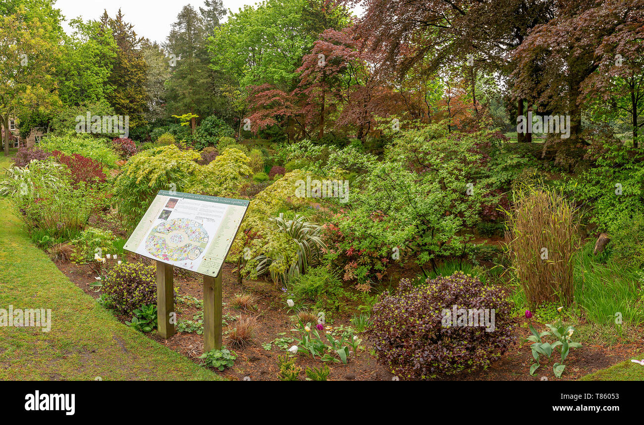 Jardin en contrebas à Denzell House et jardins avec un plan de la plantation, Dunham Rd, Bowdon, Trafford, Greater Manchester Banque D'Images