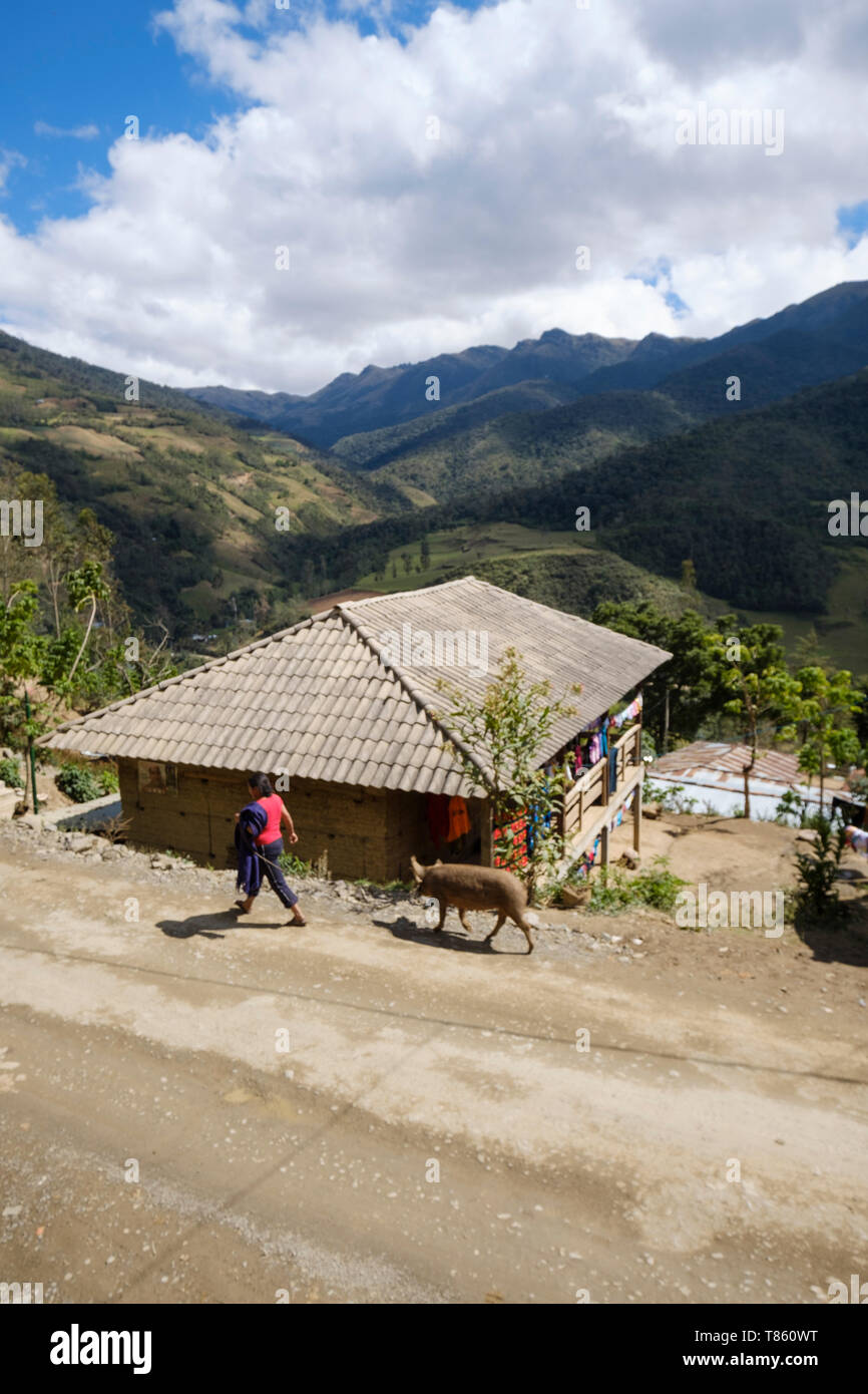 Agriculteur Local femme marche en laisse un gros cochon, la Province de Chachapoyas, Pérou Banque D'Images