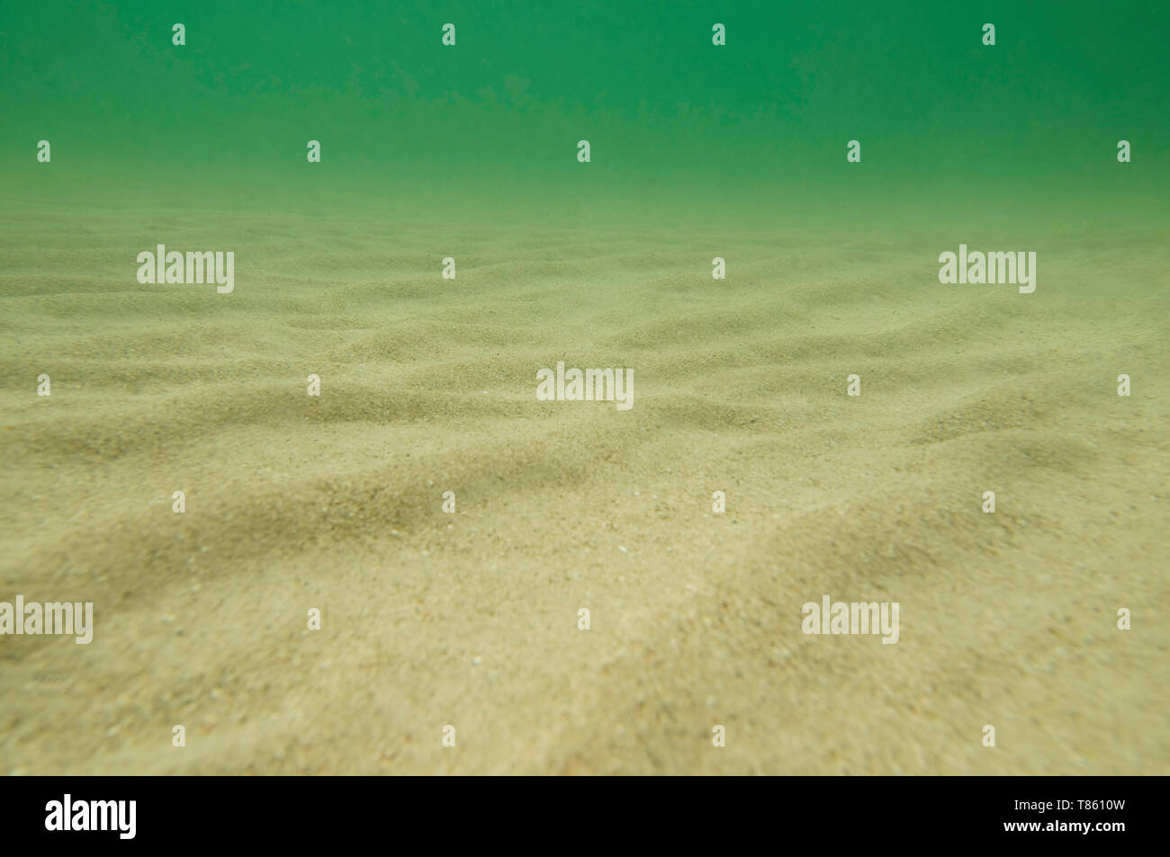 Des fonds marins de sable Banque D'Images