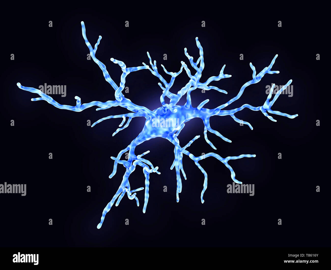 Les cellules microgliales, illustration Banque D'Images