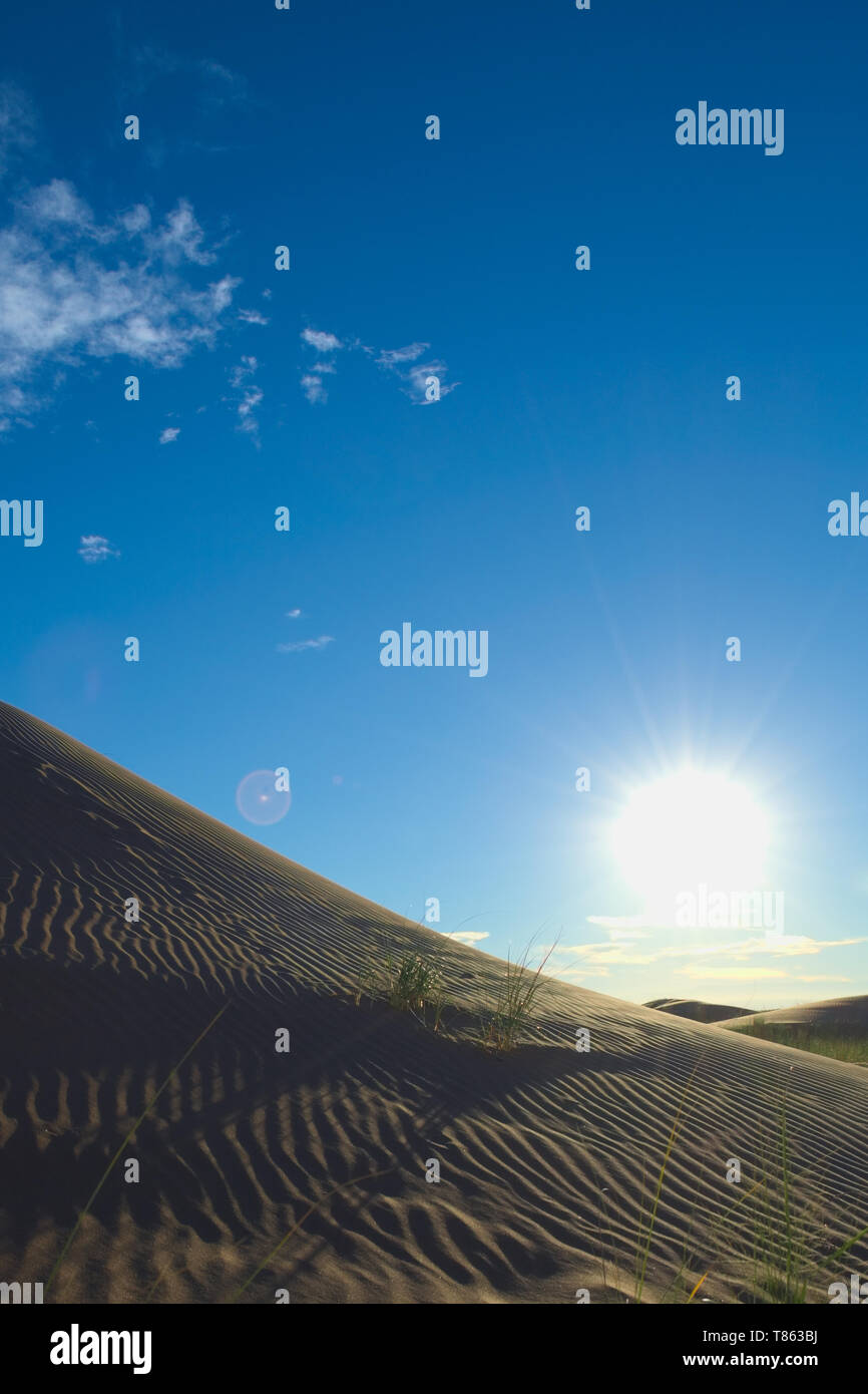 Soleil qui brille sur une dune de sable dans le désert de Lavalle, province de Mendoza, Argentine Banque D'Images
