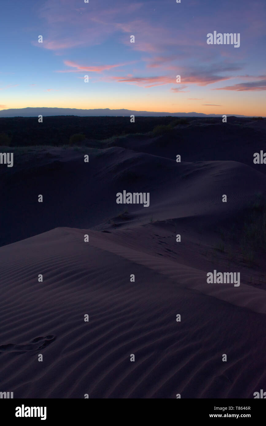 Dunes de sable mauve au crépuscule dans le désert de Lavalle, province de Mendoza, Argentine Banque D'Images