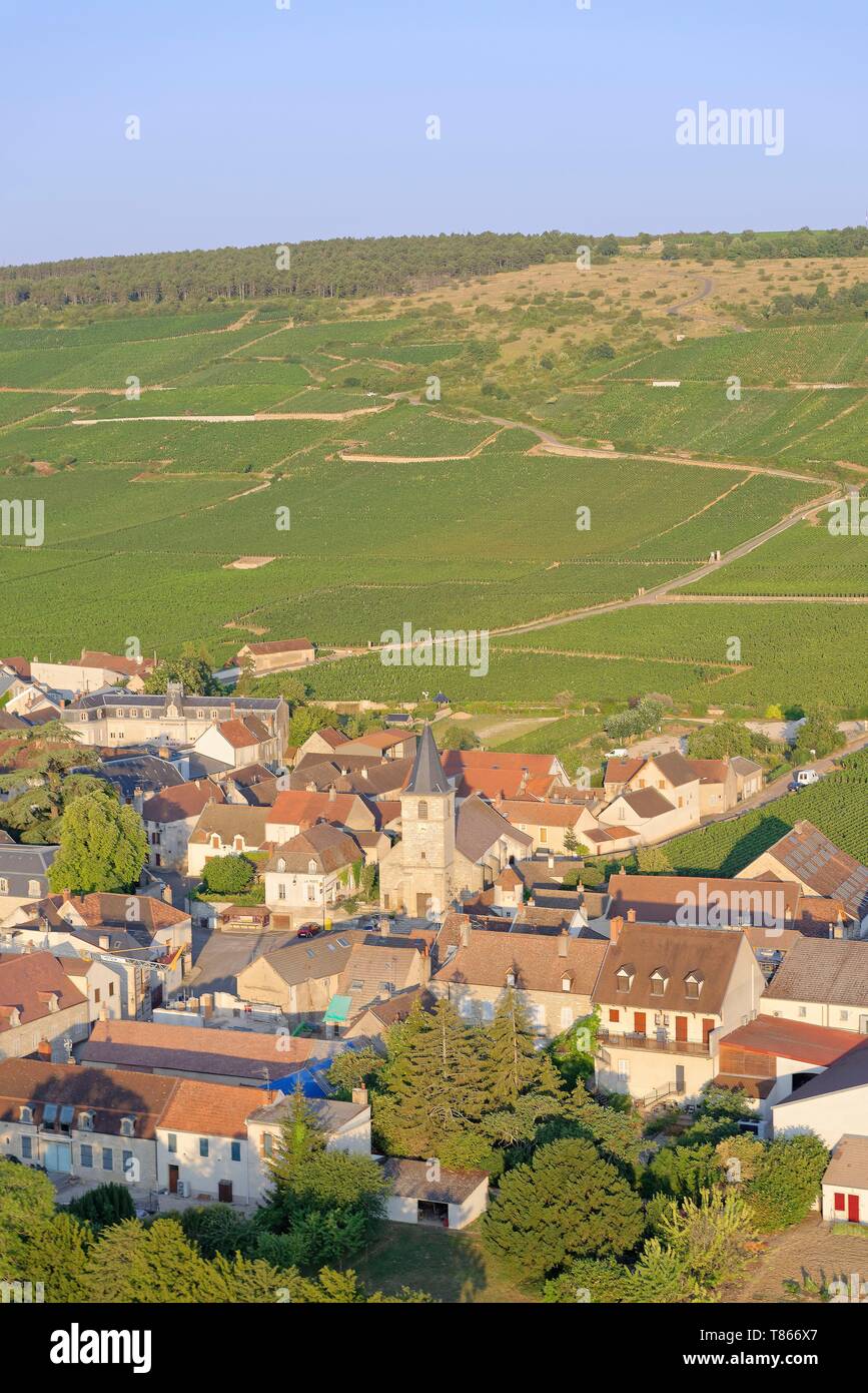 France, Côte d'Or, Cote de Nuits, Vosne Romanée, vignoble Romanée Conti (vue aérienne) Banque D'Images