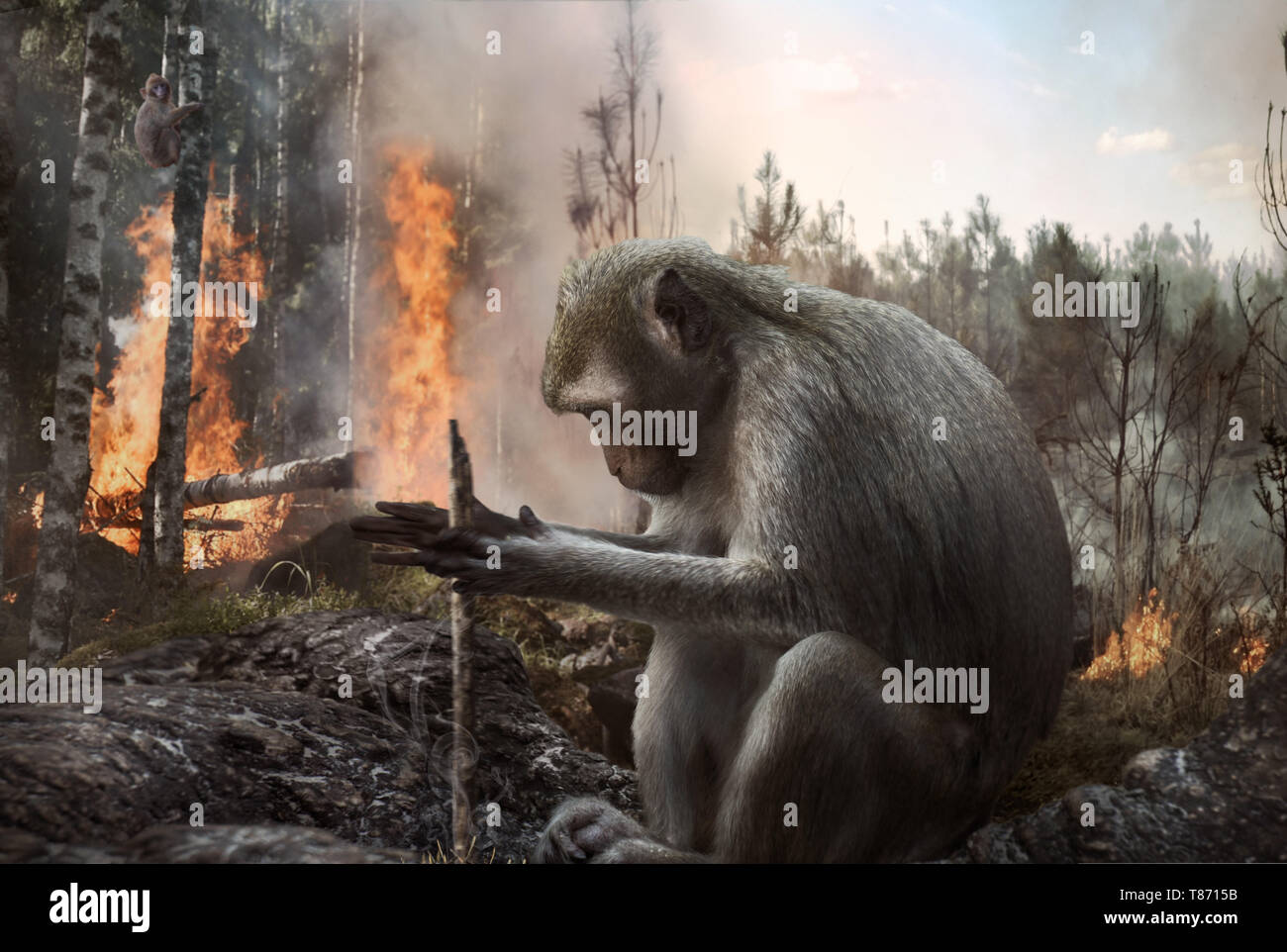 Smokey pyromane mettre le feu dans la forêt. La déforestation, le danger, l'environnement. Banque D'Images