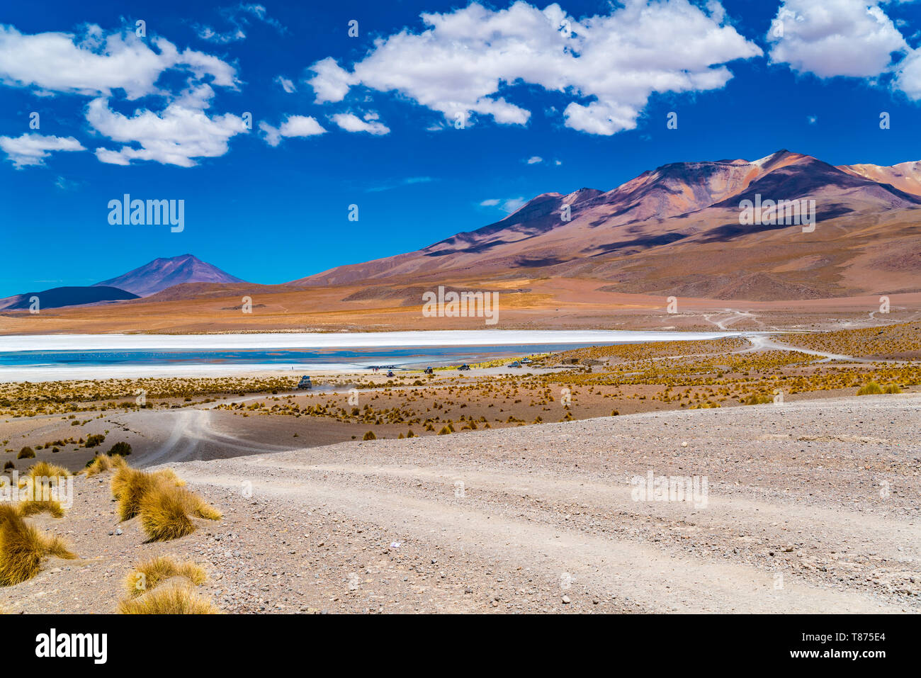 Paysage pittoresque de Laguna Canapa en journée ensoleillée avec le James's Flamingo. Laguna Canapa est un lac salé endoréique situé sur l'Altiplano bolivien Banque D'Images