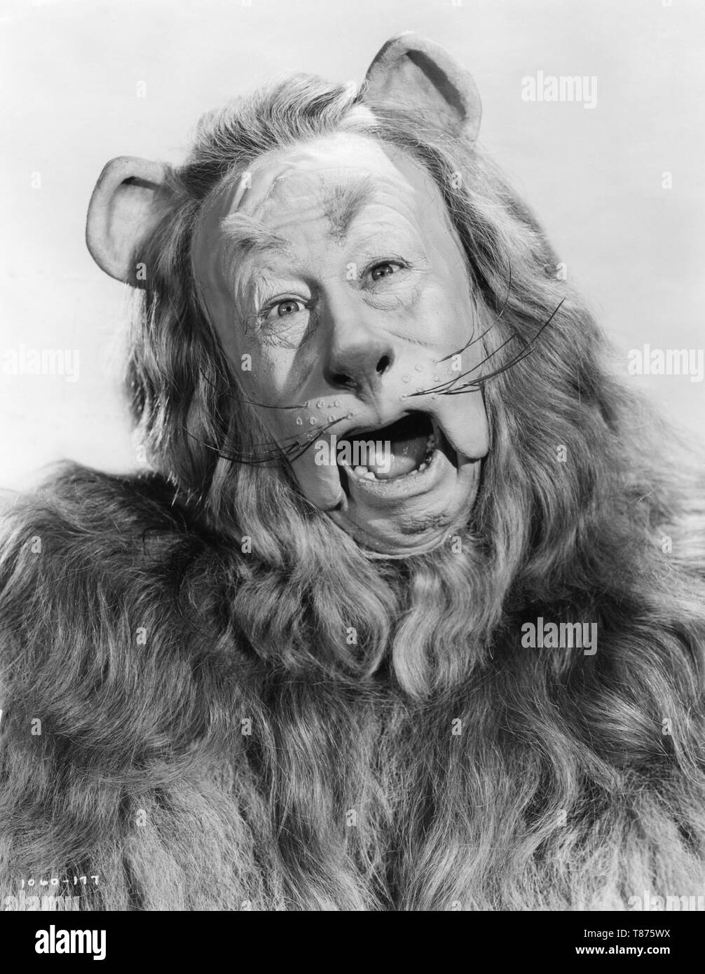 BERT LAHR comme lion lâche le magicien d'OZ Victor Fleming Directeur 1939 album Frank L. Baum Metro Goldwyn Mayer Banque D'Images